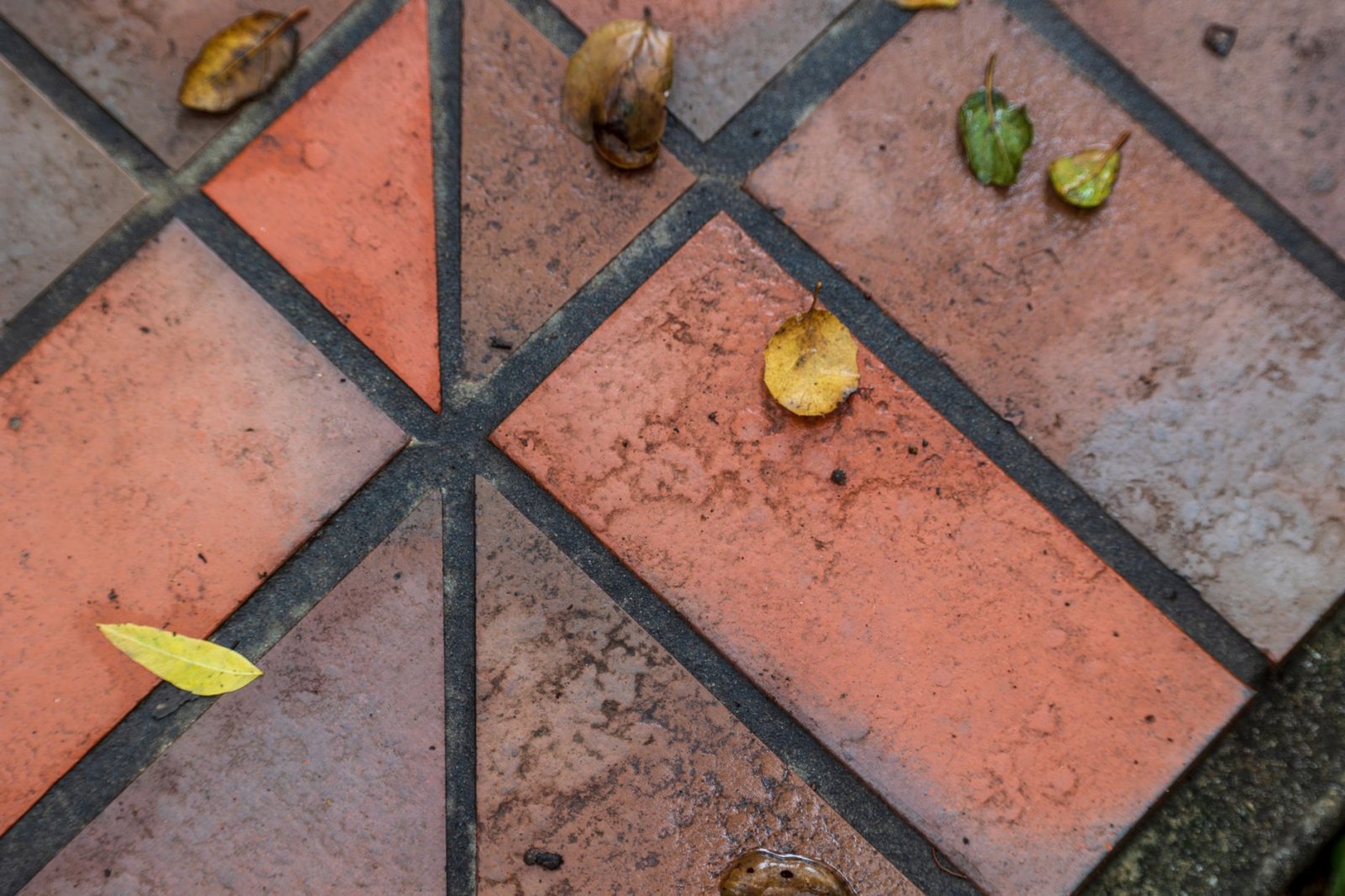 Close-up of autumn leaves scattered on a wet, patterned tile pavement, capturing fall's essence.