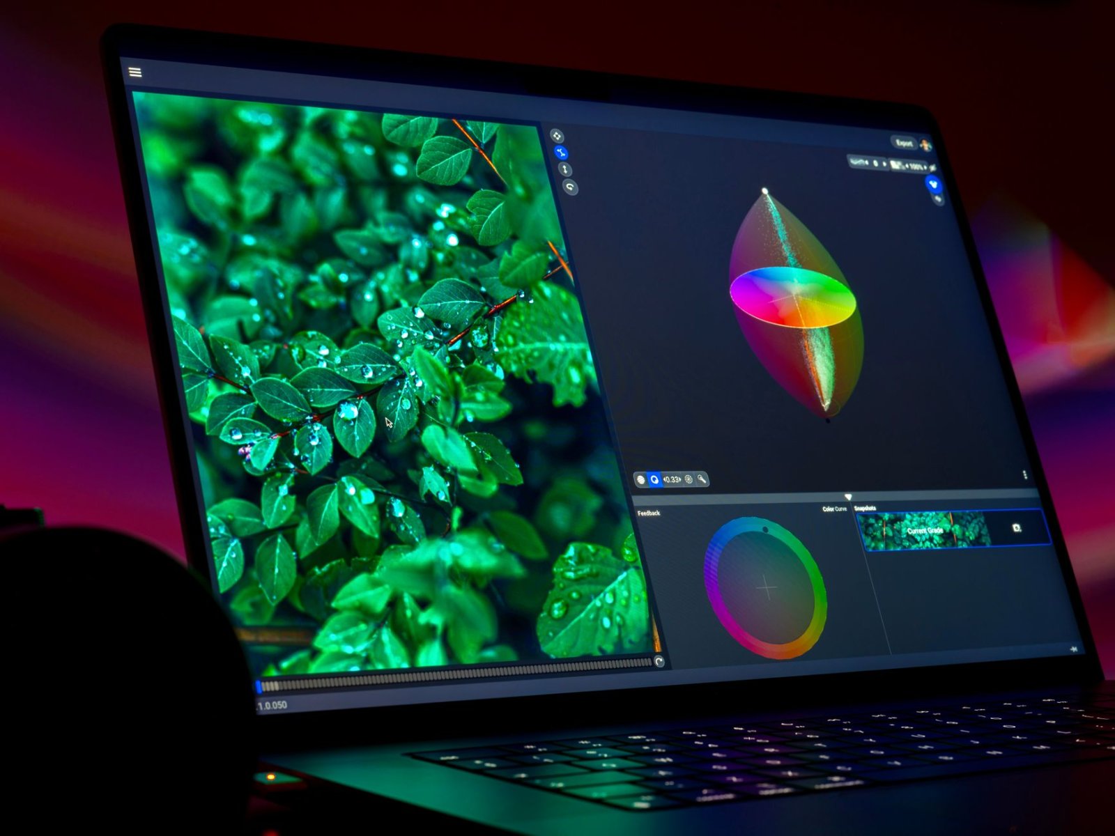Close-up of vibrant green leaves with droplets displayed on a laptop screen in vivid colors.